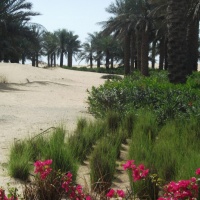 Dubai desert Bab El shams